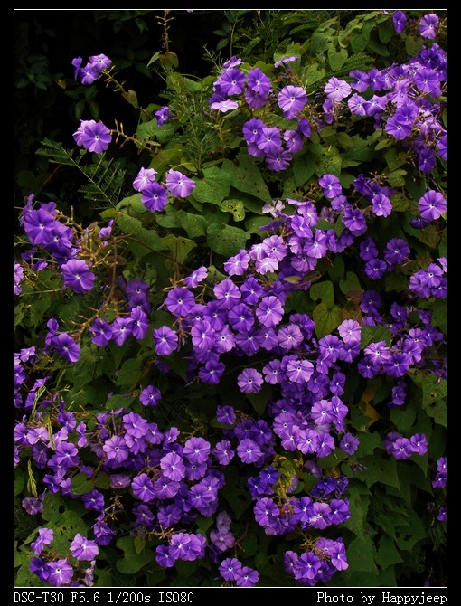 13 ������ �ɶ���.jpg