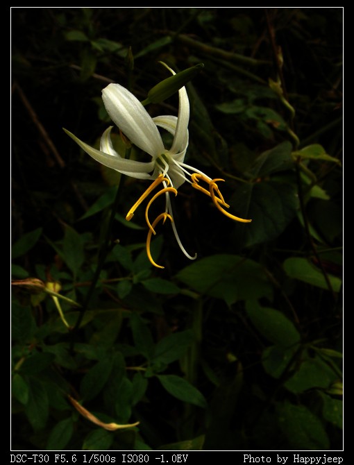 14 �ٺϿ� ����.jpg