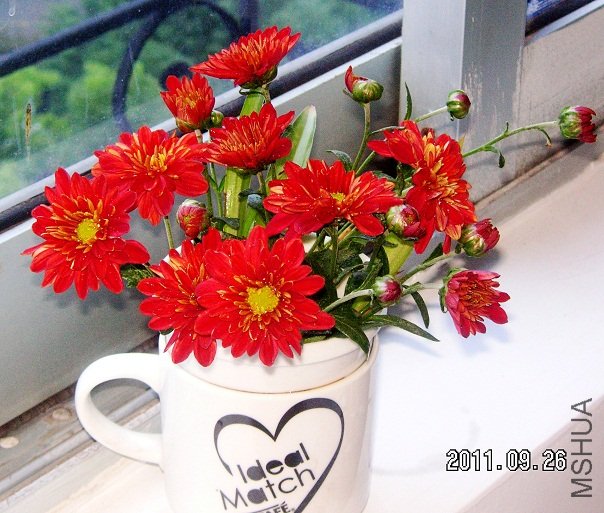 PICT0001.JPG