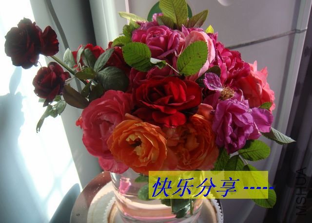 DSC05371.JPG