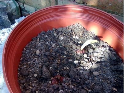 3������һ��5���ص�����