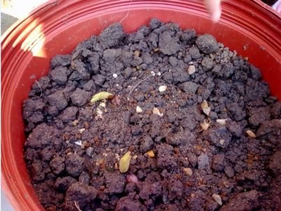 2������һ��5���ص�����