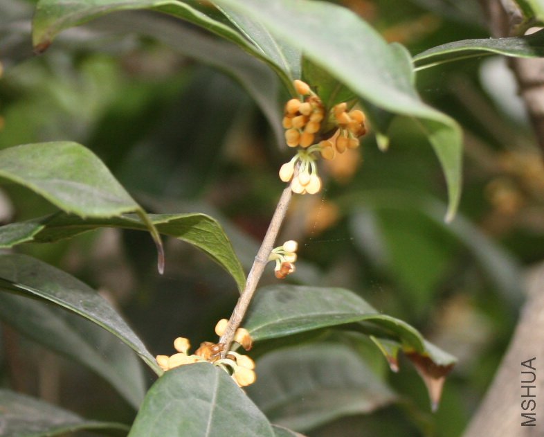 2011092608���.jpg