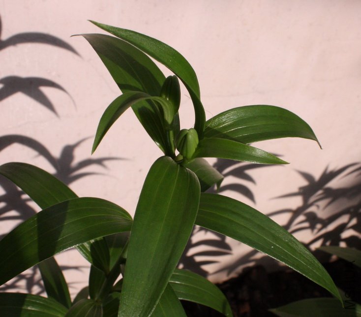 2011092605Ү����.jpg