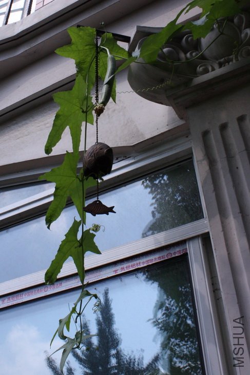 2011092408˿��.jpg
