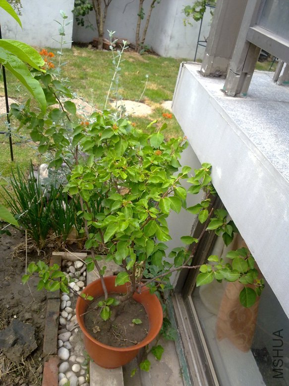 201109272019.jpg