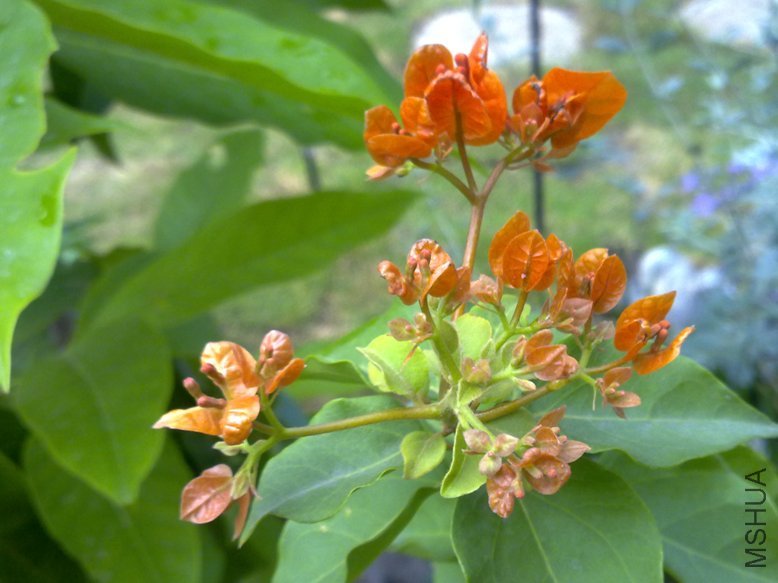201109272021.jpg