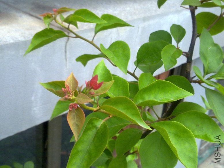 201109272022.jpg