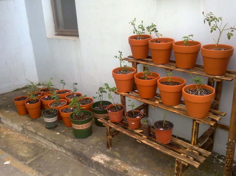 201109272026.jpg