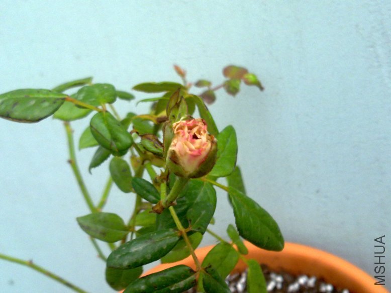 201109282042.jpg