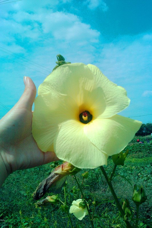IMAG0355_����.jpg