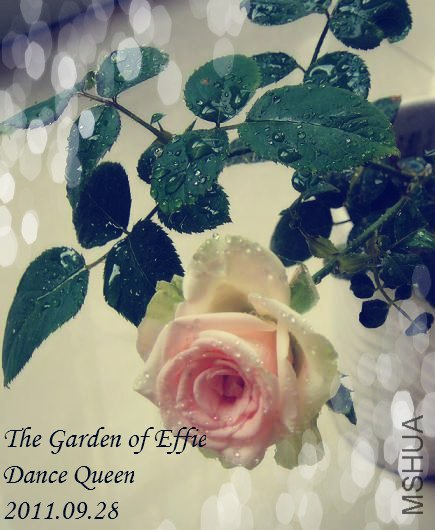 DSC02770_meitu_1.jpg