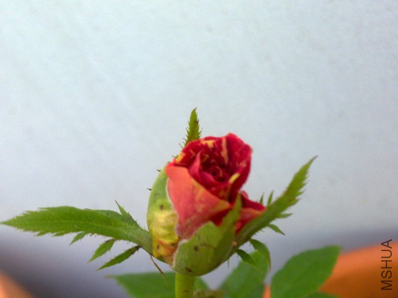 201109292053.jpg