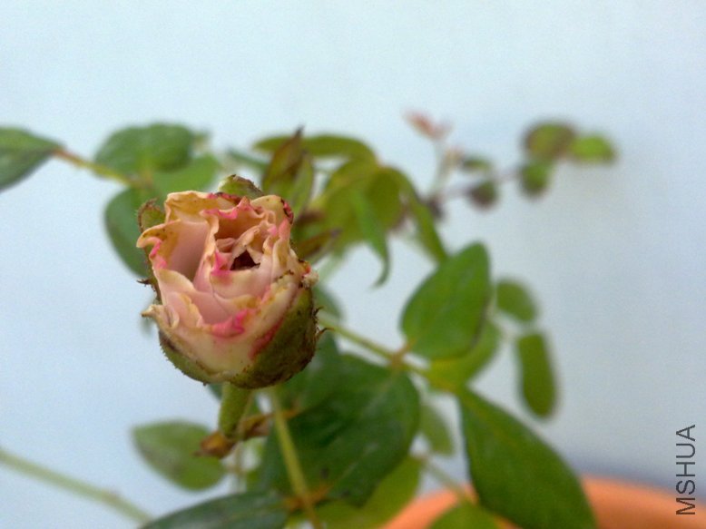 201109292054.jpg