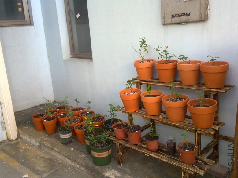 201109292055.jpg