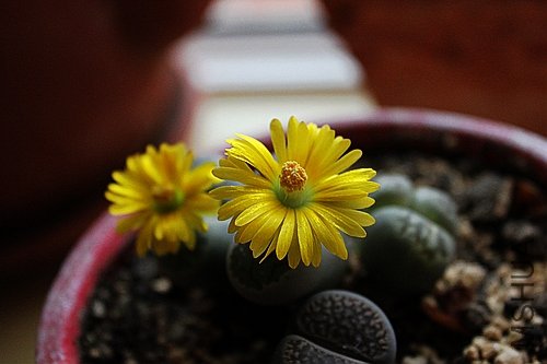 ��Ƭ 016.jpg