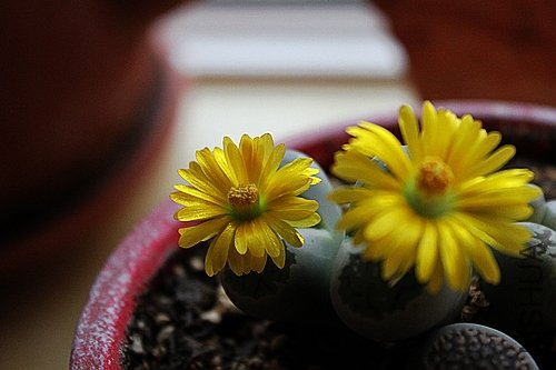 ��Ƭ 017.jpg