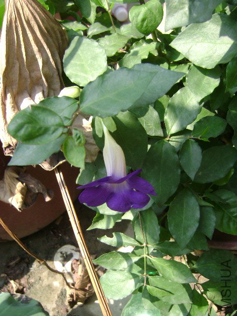 DSC02416.JPG