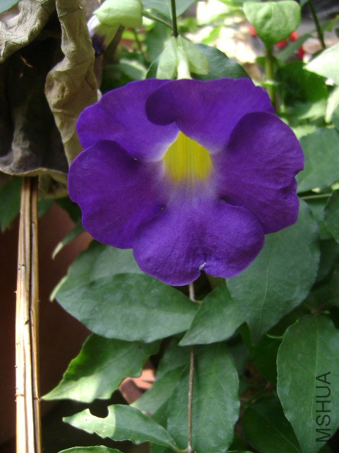 DSC02418.JPG