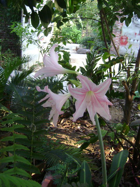 DSC02422.JPG
