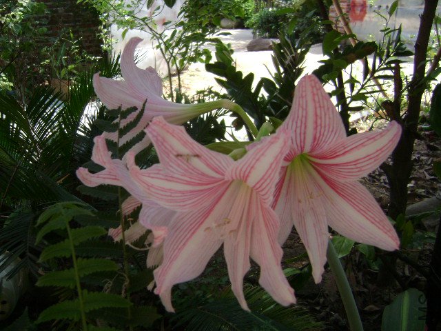 DSC02431.JPG