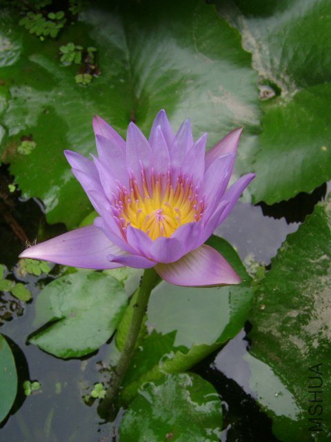 DSC02433.JPG