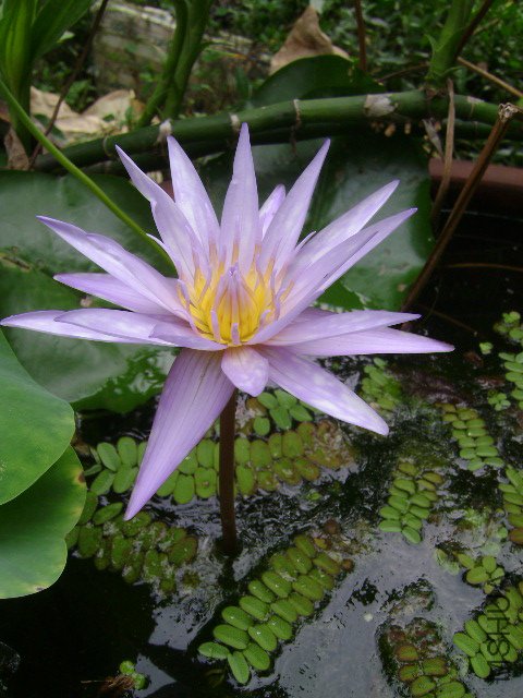 DSC02434.JPG