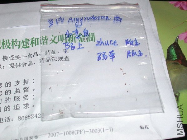 DSCN4968.jpg