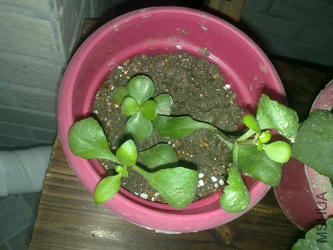 20111001489.jpg