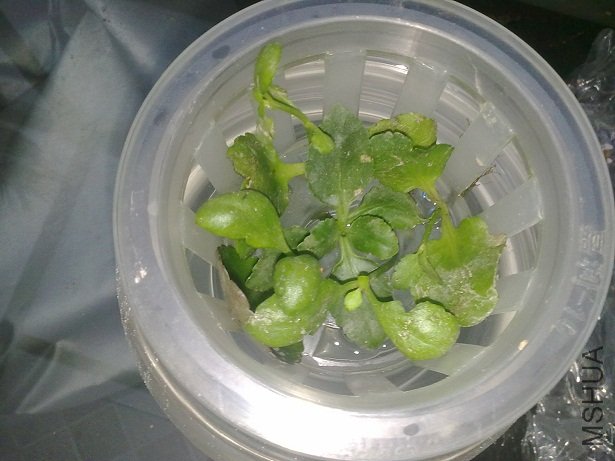 20111001490.jpg
