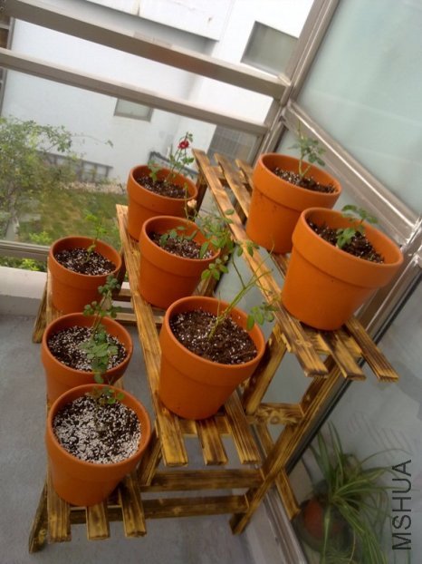 201110012063.jpg