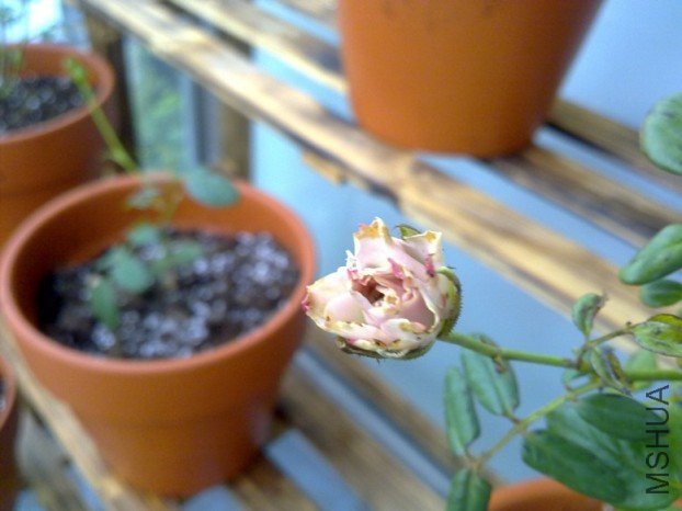 201110012064.jpg