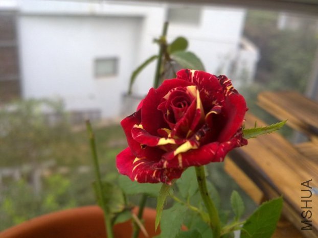201110012065.jpg