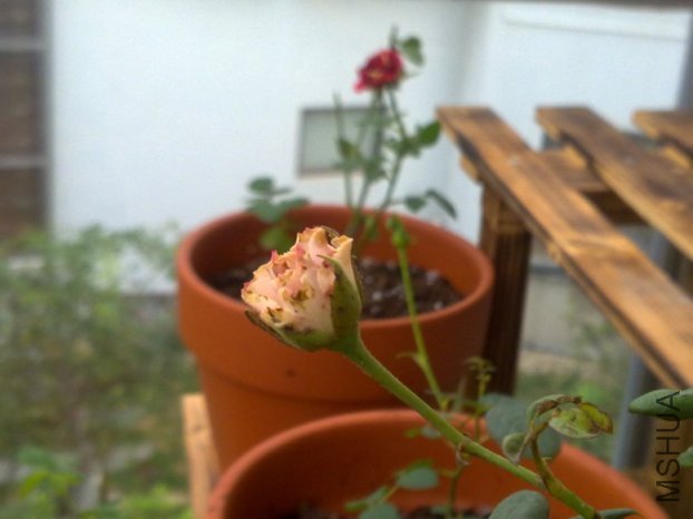 201110012066.jpg