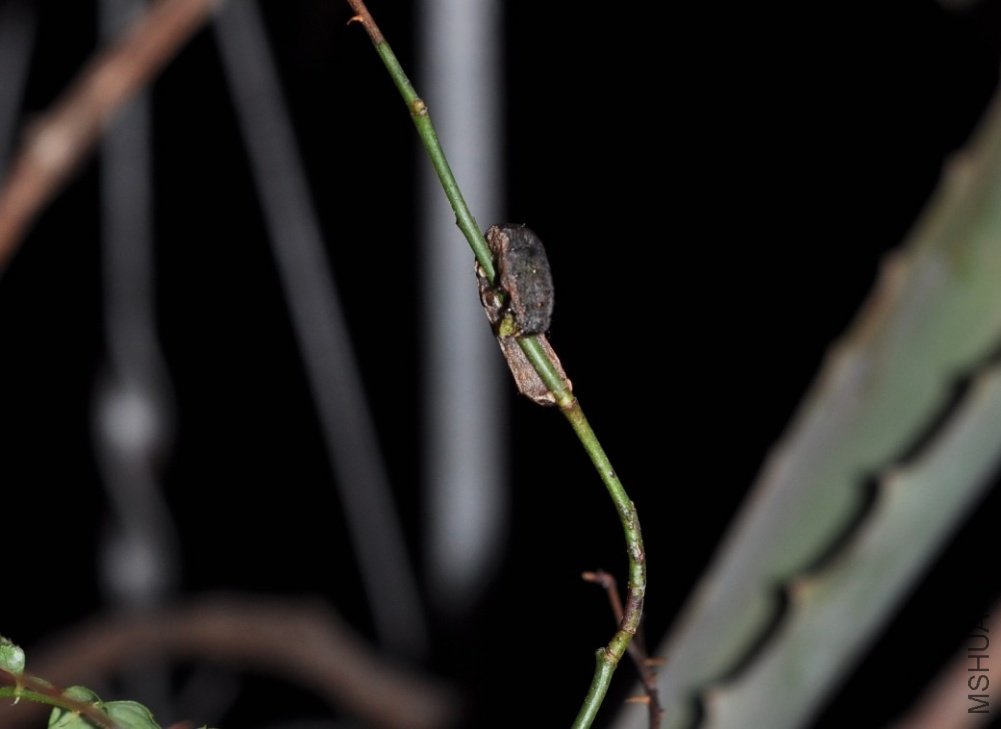 �������Ϸ��������ڳ����ڳ��¼���