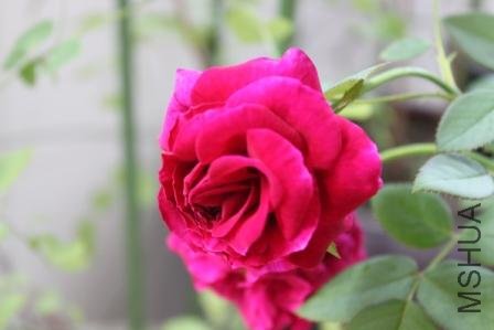 ����20110913-H.JPG