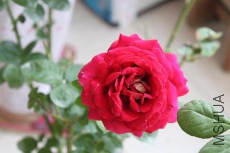 ���ƽ20110925-1.JPG