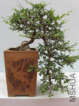 123 035_����_����.jpg