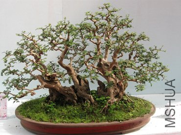 123 036_����_����.jpg