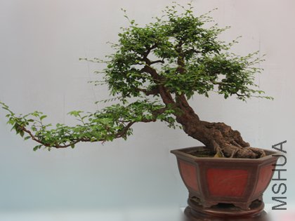 123 041_����3.jpg