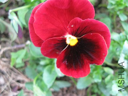 123 113_����6.jpg