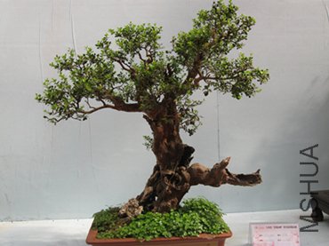 123 044_����_����.jpg