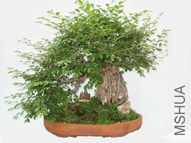 123 047_����_����.jpg