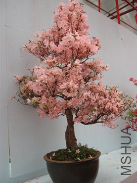 123 048_����_����.jpg