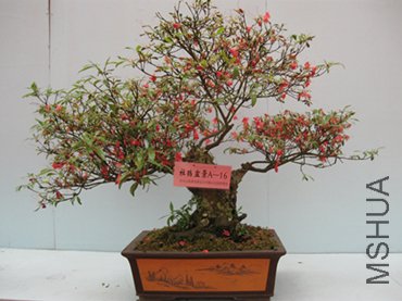 123 051_����_����.jpg