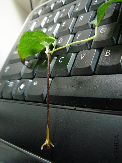 9.27_³�����ʿ08.JPG