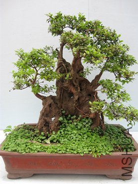 123 062_����.jpg