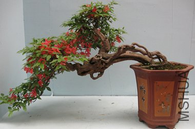 123 073_����_����.jpg