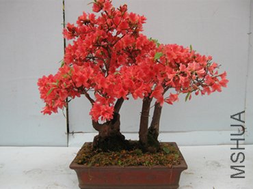 123 077_����_����.jpg