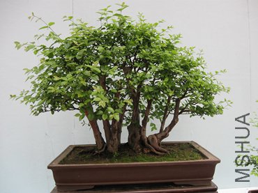 123 080_����.jpg